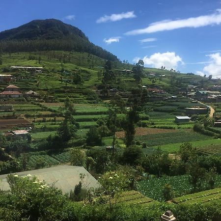 Perera Homestay نوفارا إيلِيا المظهر الخارجي الصورة