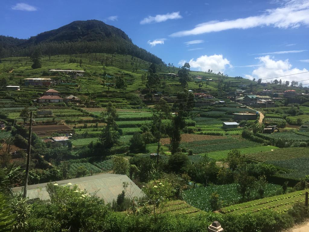 Perera Homestay نوفارا إيلِيا المظهر الخارجي الصورة