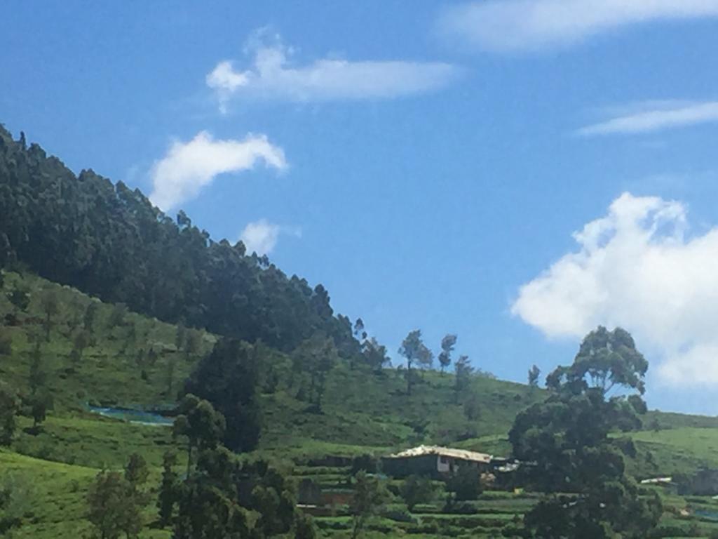 Perera Homestay نوفارا إيلِيا المظهر الخارجي الصورة