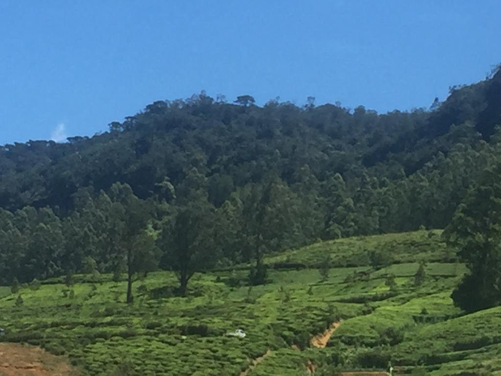 Perera Homestay نوفارا إيلِيا المظهر الخارجي الصورة